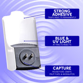 Home Innovations - flying insect trap - 1 Device + 3 refills (Master case 12 w/ 3  inners of 4